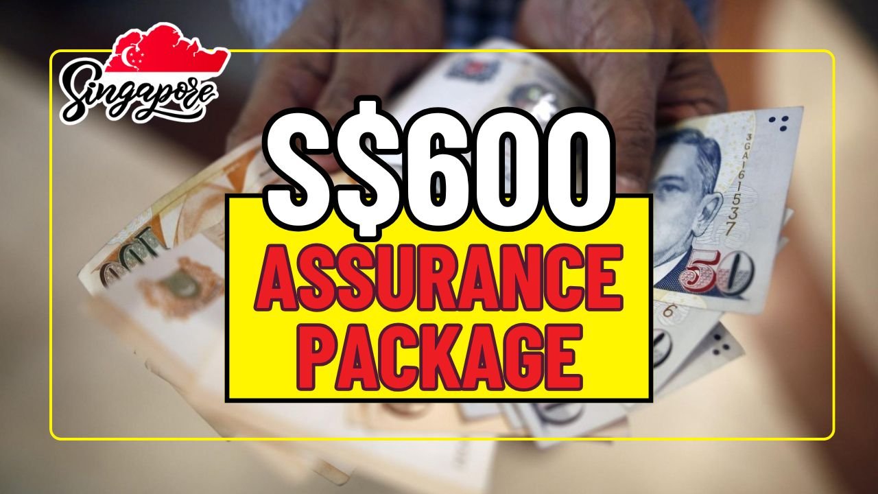 Assurance Package