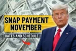 SNAP Payment November 2025, Complete Dates and Schedule 